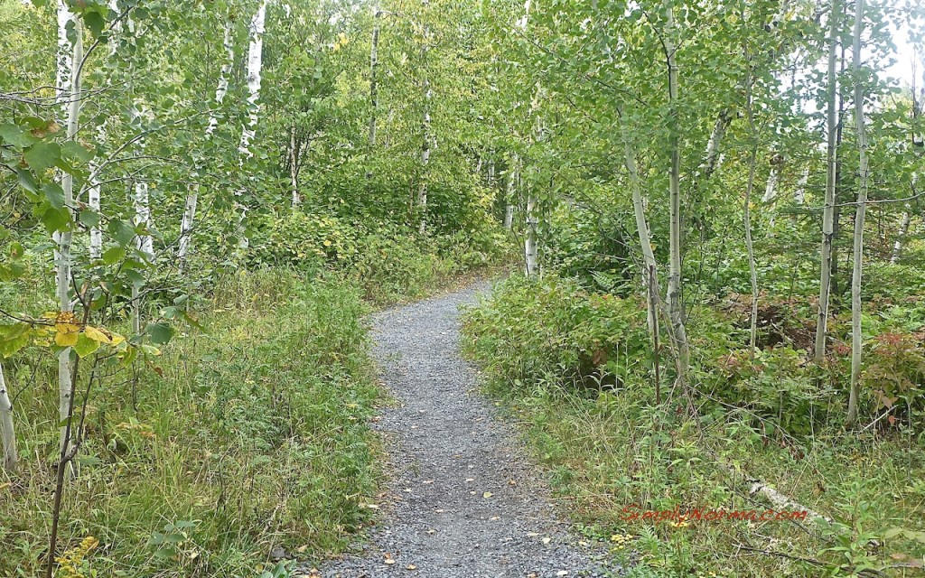 Northshore Scenic Overlook Trail