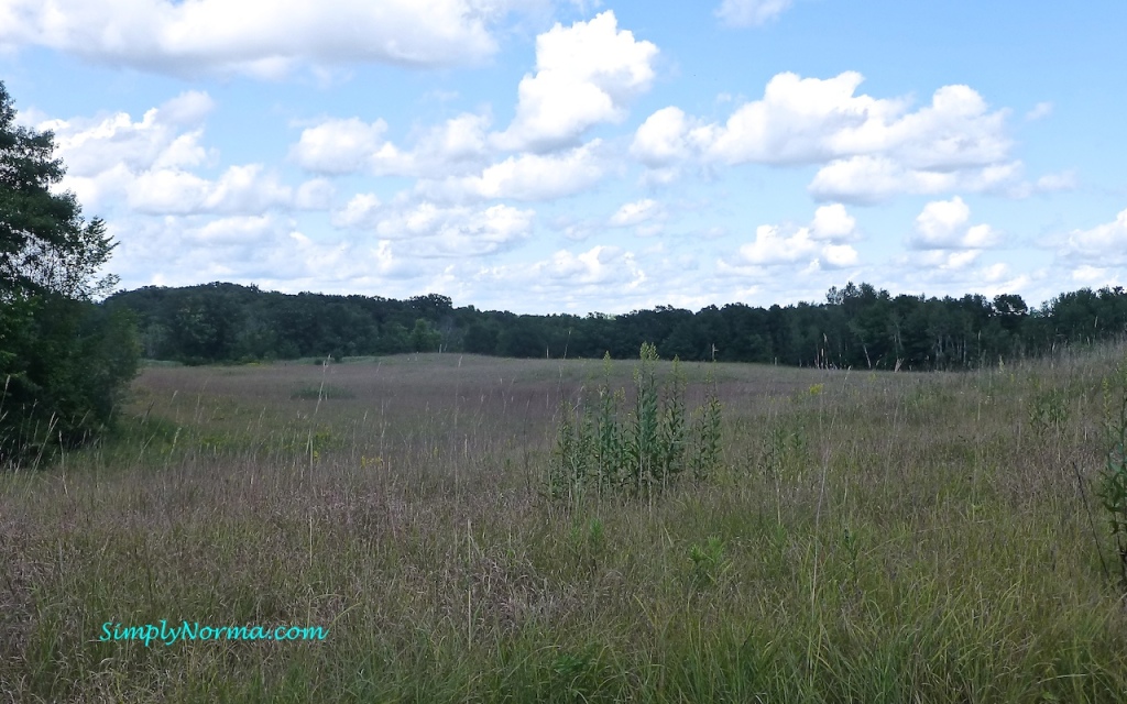 Lake Elmo Park Reserve