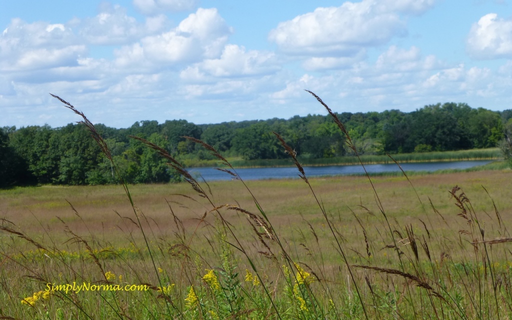 Lake Elmo Park Reserve