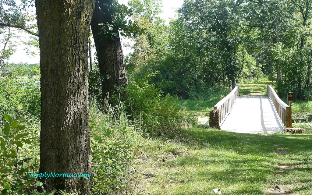 Lake Elmo Park Reserve