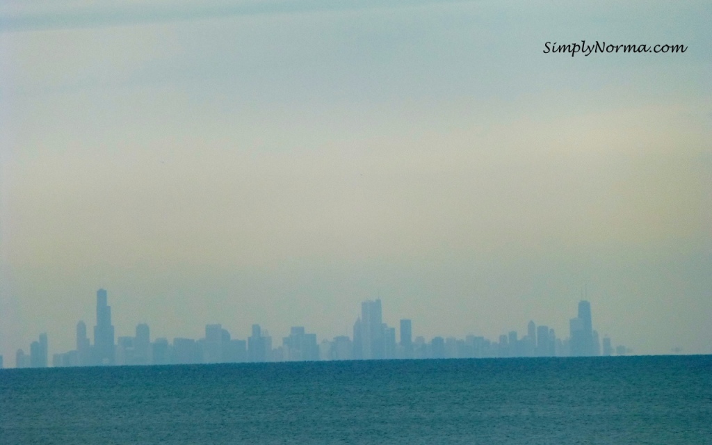 Chicago Skyline from Indiana Sand Dunes