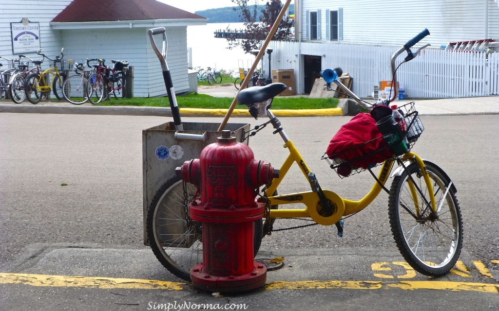 Bicycle Pooper Scoopers