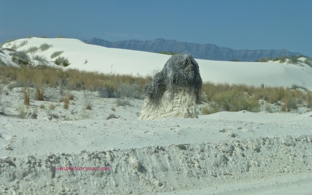 White Sands National Park, New Mexico