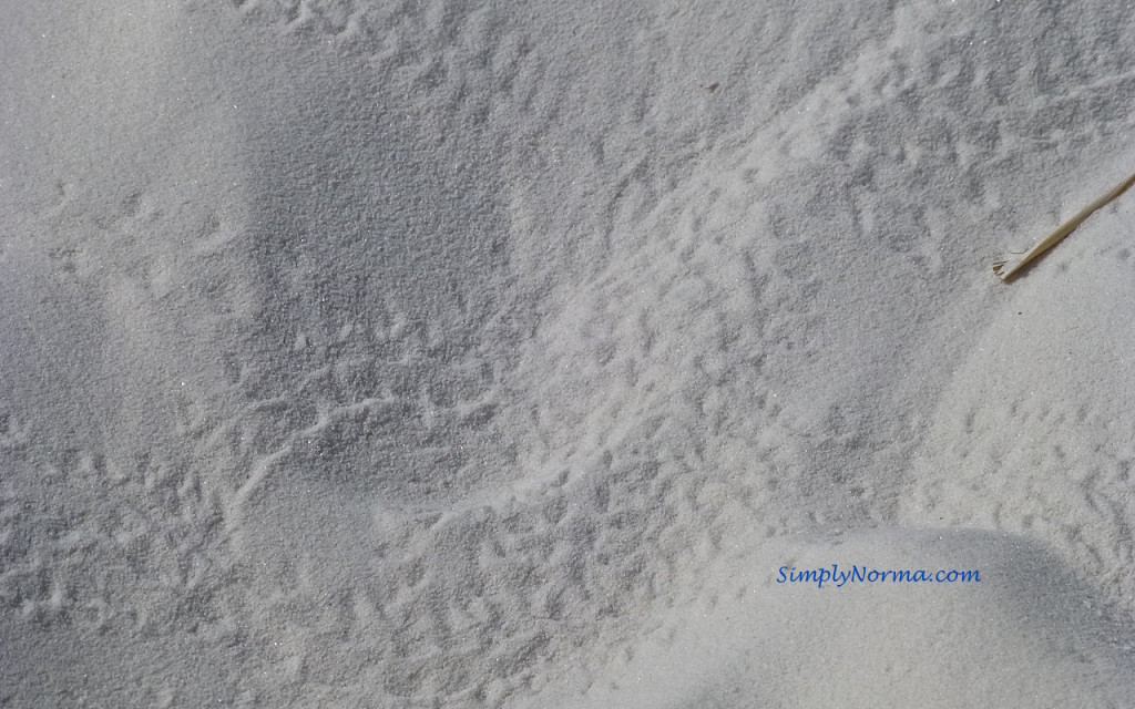 White Sands National Park, New Mexico