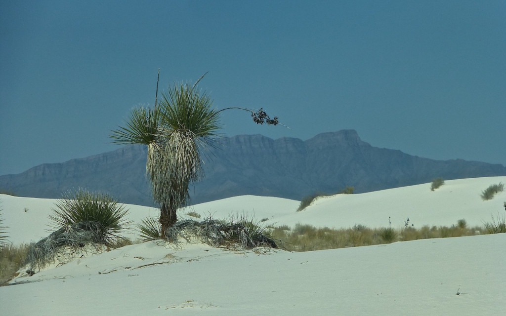 White Sands National Park, New Mexico